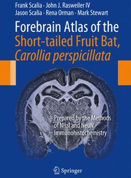Forebrain Atlas of the Short-tailed Fruit Bat, Carollia perspicillata