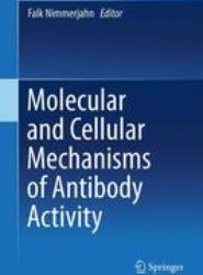 Molecular and Cellular Mechanisms of Antibody Activity