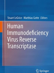 Human Immunodeficiency Virus Reverse Transcriptase
