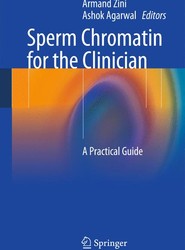 Sperm Chromatin for the Clinician