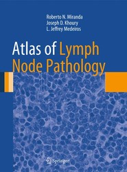 Atlas of Lymph Node Pathology