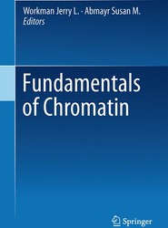 Fundamentals of Chromatin