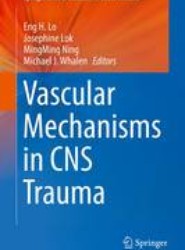 Vascular Mechanisms in CNS Trauma