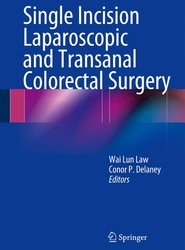 Single Incision Laparoscopic and Transanal Colorectal Surgery