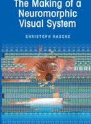 The Making of a Neuromorphic Visual System