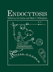 Endocytosis