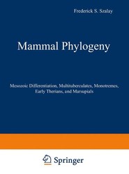 Mammal Phylogeny