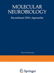 Molecular Neurobiology