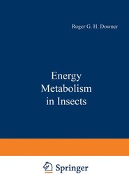 Energy Metabolism in Insects