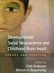 Developmental Social Neuroscience and Childhood Brain Insult
