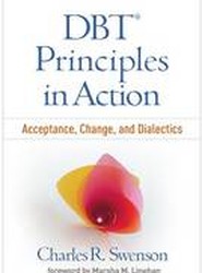 DBT Principles in Action