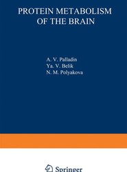 Protein Metabolism of the Brain