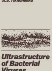 Ultrastructure of Bacterial Viruses