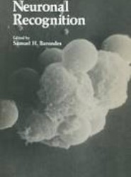 Neuronal Recognition
