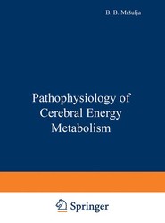 Pathophysiology of Cerebral Energy Metabolism