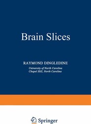 Brain Slices