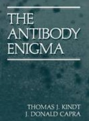 The Antibody Enigma