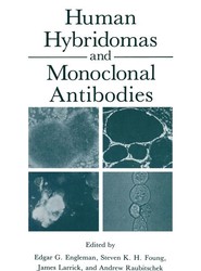 Human Hybridomas and Monoclonal Antibodies