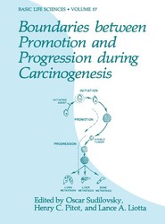 Boundaries between Promotion and Progression during Carcinogenesis