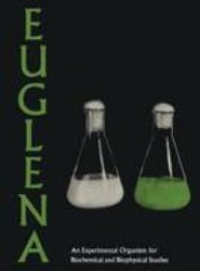 Euglena