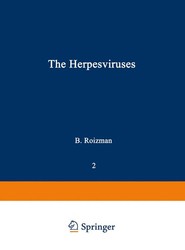 The Herpesviruses