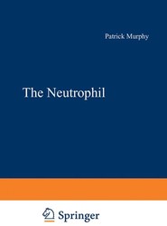 The Neutrophil