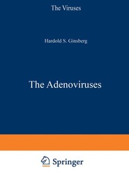 The Adenoviruses