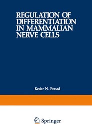 Regulation of Differentiation in Mammalian Nerve Cells