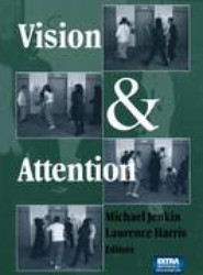 Vision and Attention