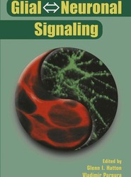 Glial Neuronal Signaling