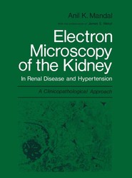 Electron Microscopy of the Kidney