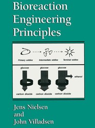 Bioreaction Engineering Principles