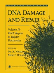 DNA Damage and Repair
