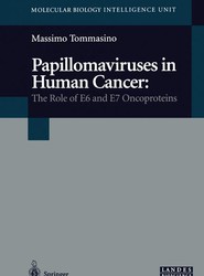 Papillomaviruses in Human Cancer