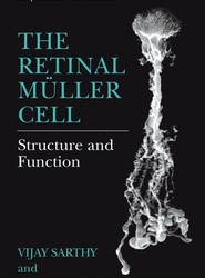 The Retinal Muller Cell