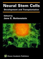 Neural Stem Cells