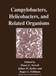 Campylobacters, Helicobacters, and Related Organisms