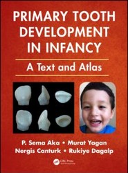 Primary Tooth Development in Infancy