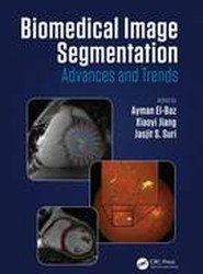 Biomedical Image Segmentation