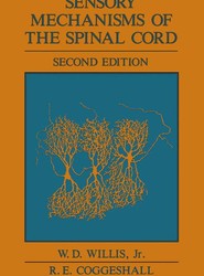 Sensory Mechanisms of the Spinal Cord