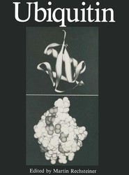 Ubiquitin