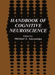 Handbook of Cognitive Neuroscience