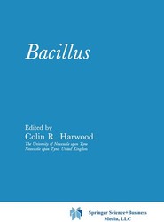 Bacillus