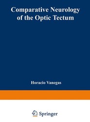 Comparative Neurology of the Optic Tectum