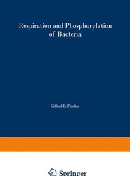 Respiration and Phosphorylation of Bacteria