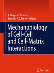 Mechanobiology of Cell-Cell and Cell-Matrix Interactions