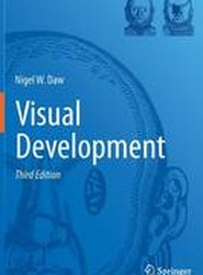 Visual Development