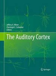 The Auditory Cortex