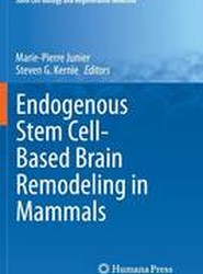 Endogenous Stem Cell-Based Brain Remodeling in Mammals