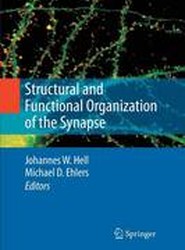 Structural and Functional Organization of the Synapse